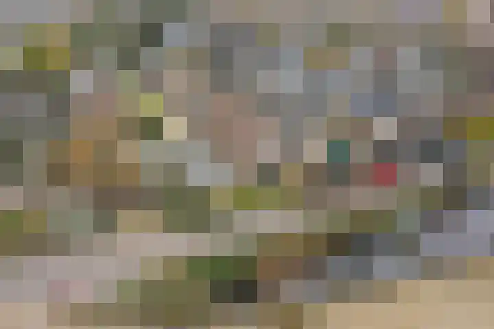 Dubbelebuurt 14 Broek op Langedijk thumbnail 33