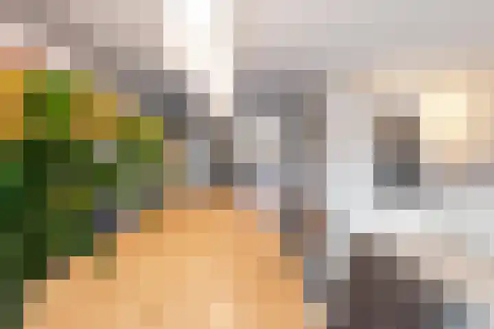 Dubbelebuurt 14 Broek op Langedijk thumbnail 5