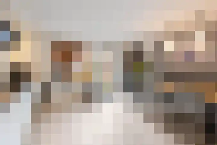 Dubbelebuurt 14 Broek op Langedijk thumbnail 6