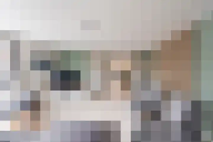 Dubbelebuurt 14 Broek op Langedijk thumbnail 9