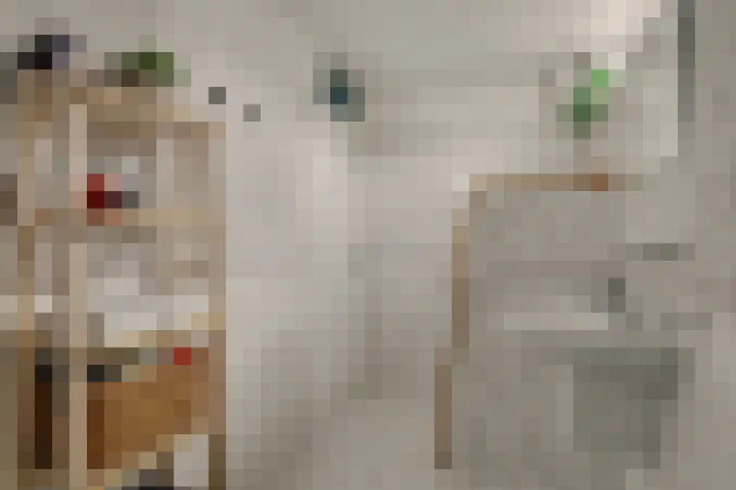 Dubbelebuurt 14 Rijnsburg thumbnail 23