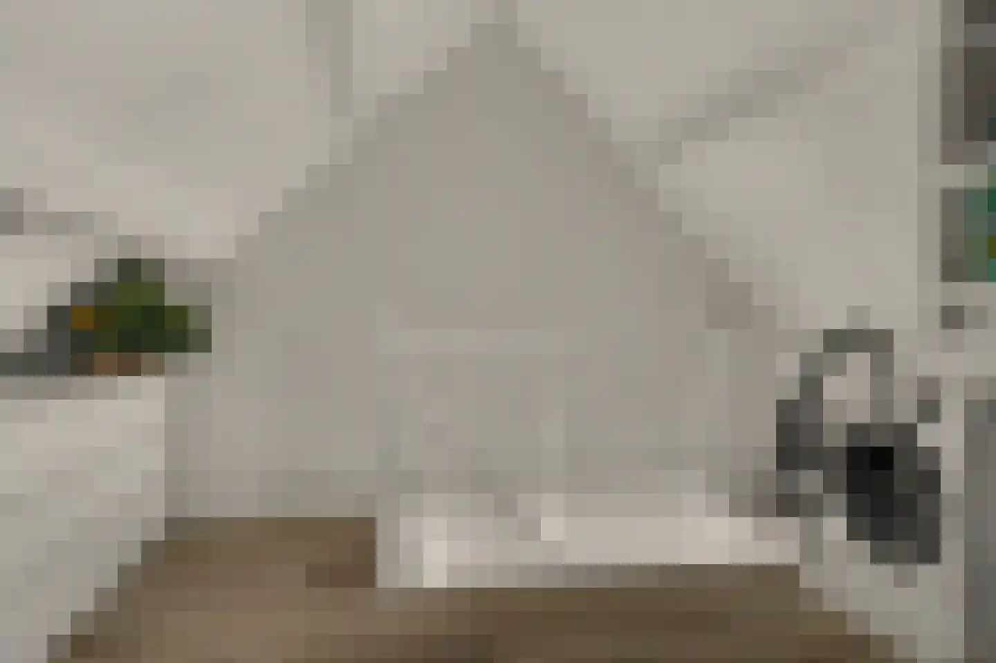 Dubbelebuurt 14 Rijnsburg thumbnail 25