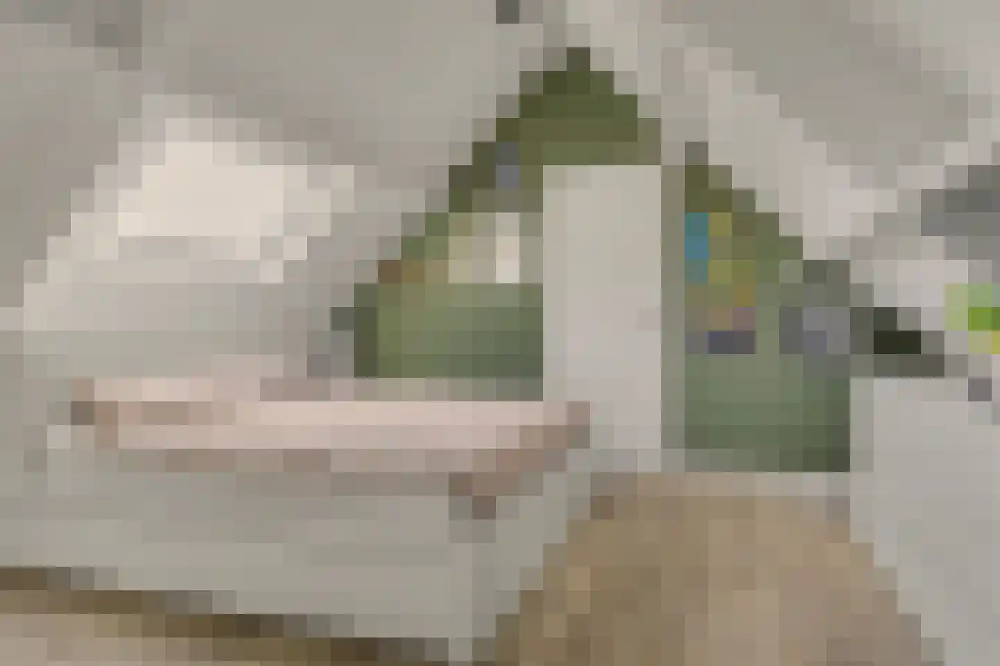 Dubbelebuurt 14 Rijnsburg thumbnail 26
