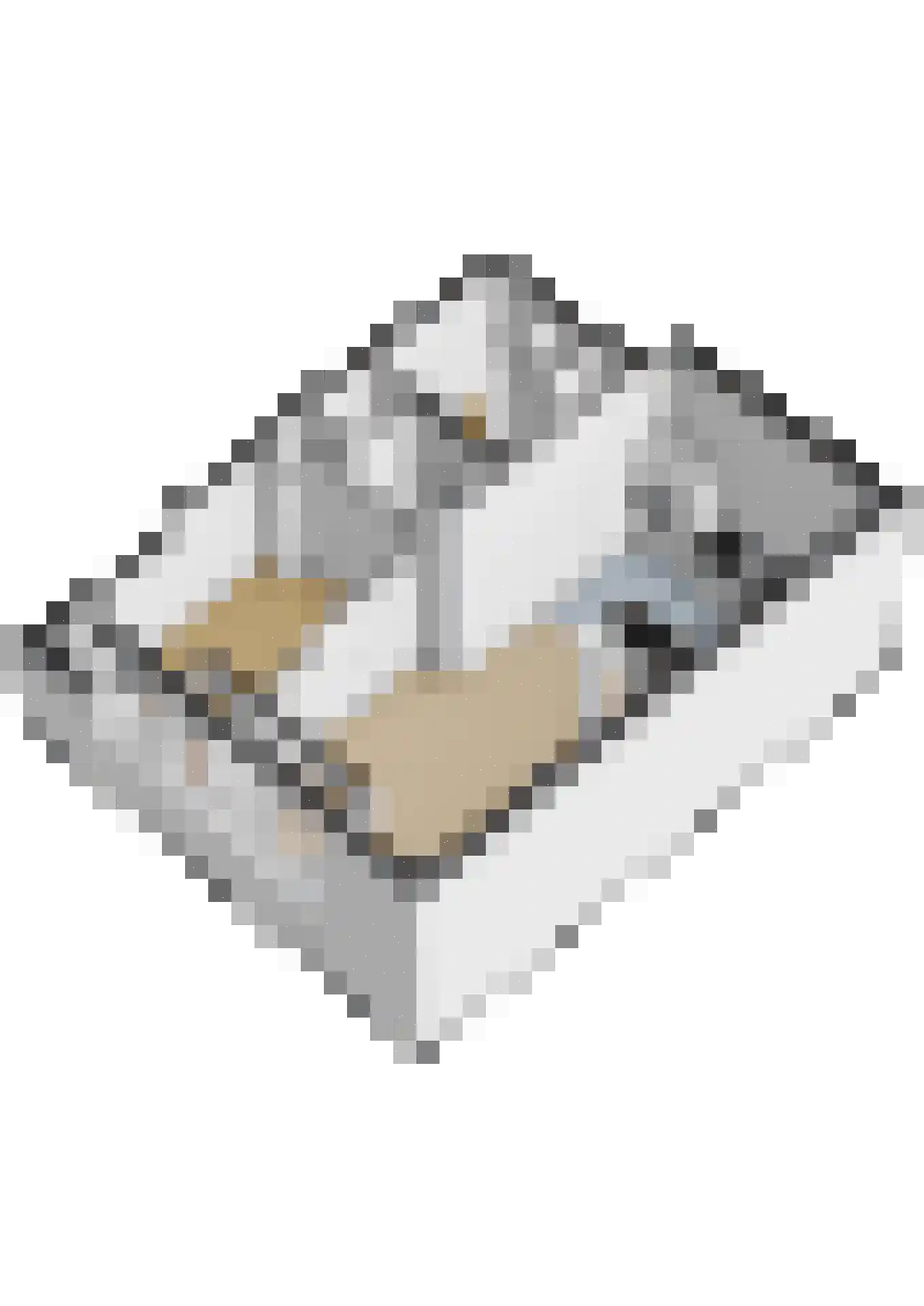 Dubbelebuurt 2 A 2 Wormerveer thumbnail 40