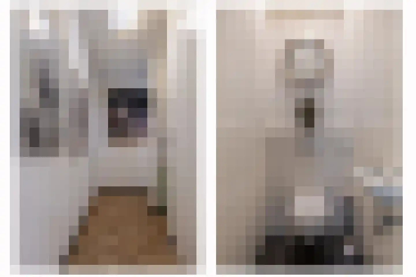 Dubbelebuurt 2 A 2 Wormerveer thumbnail 8