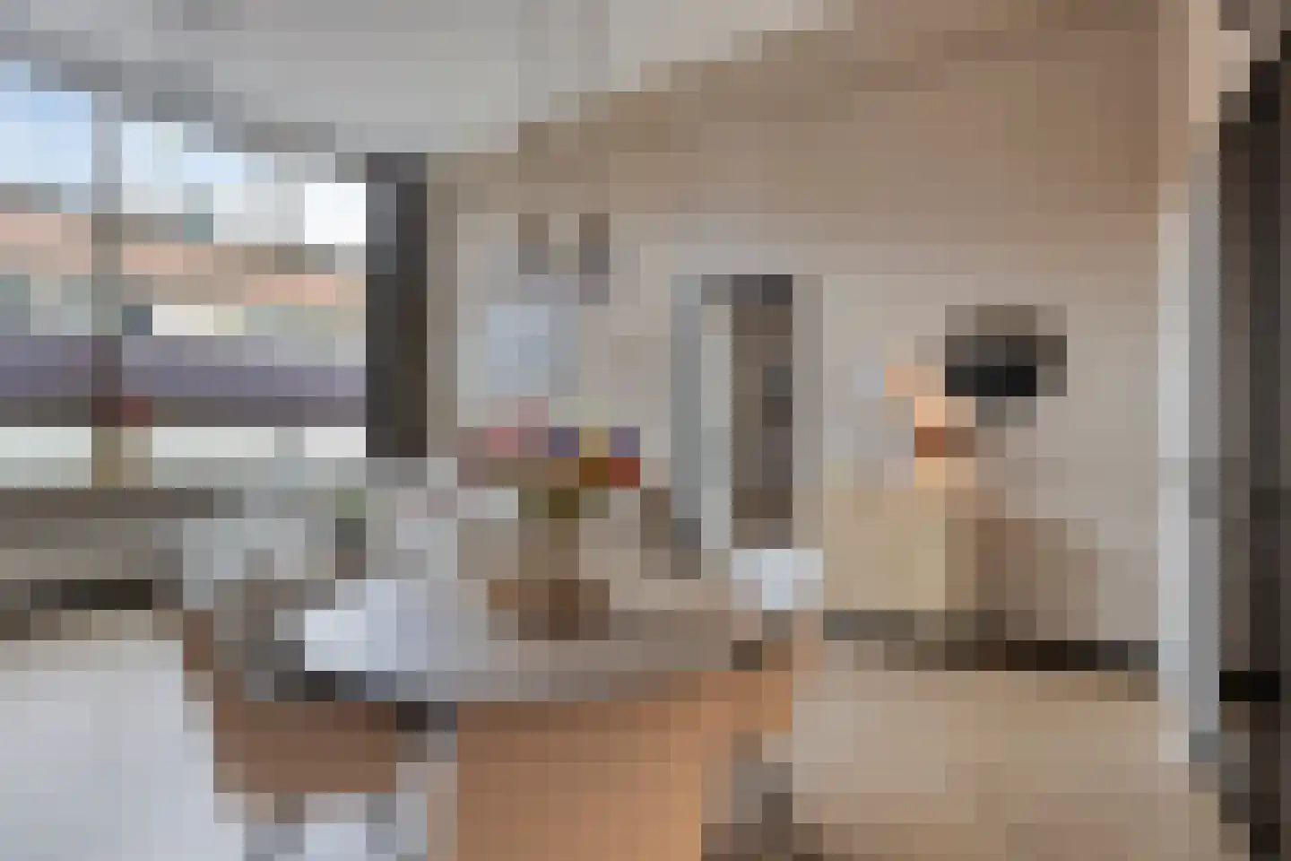 Dubbelebuurt 2 A 9 Wormerveer thumbnail 12