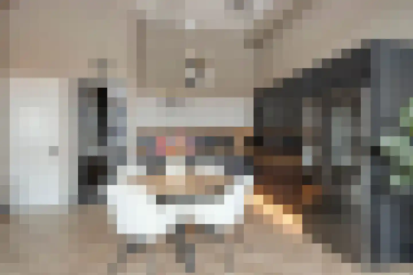 Dubbelebuurt 2 A 9 Wormerveer thumbnail 16