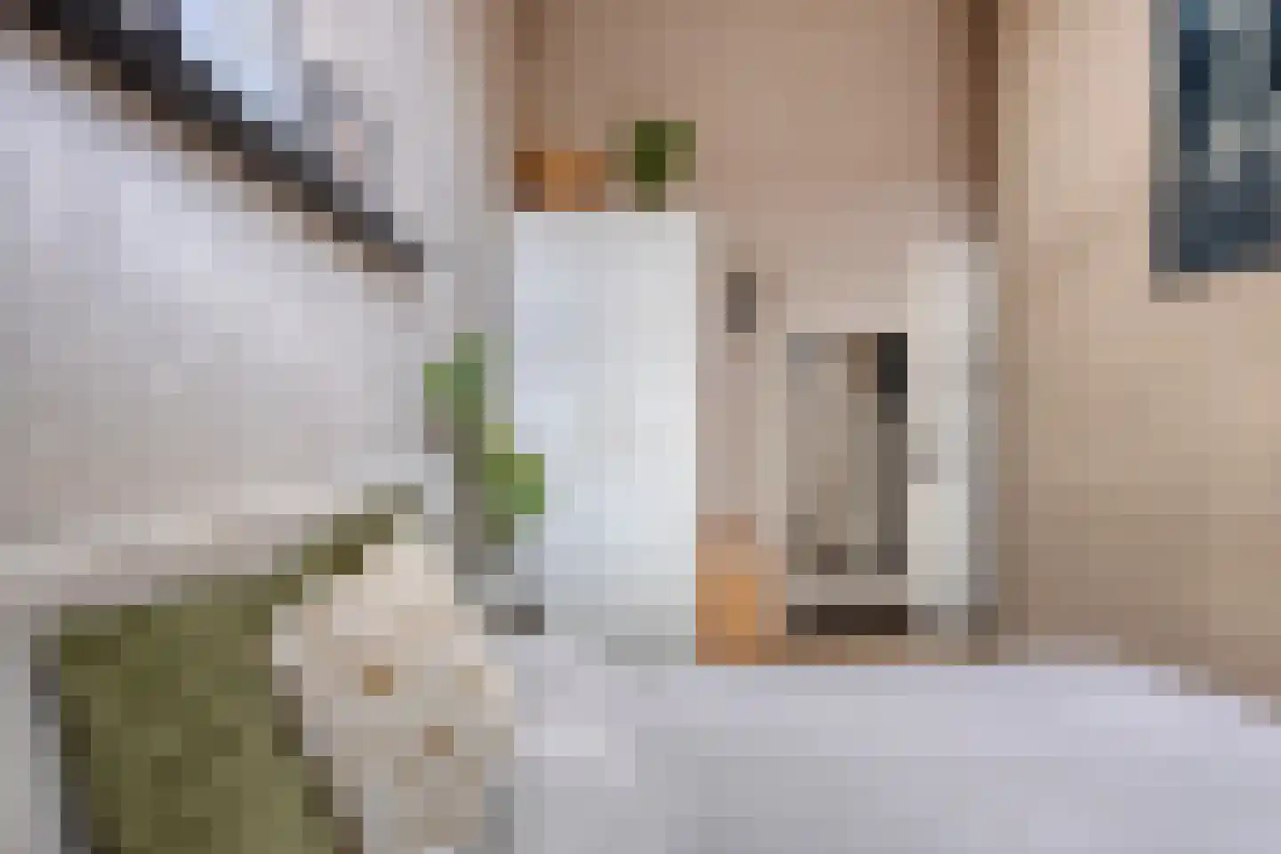 Dubbelebuurt 2 A 9 Wormerveer thumbnail 23