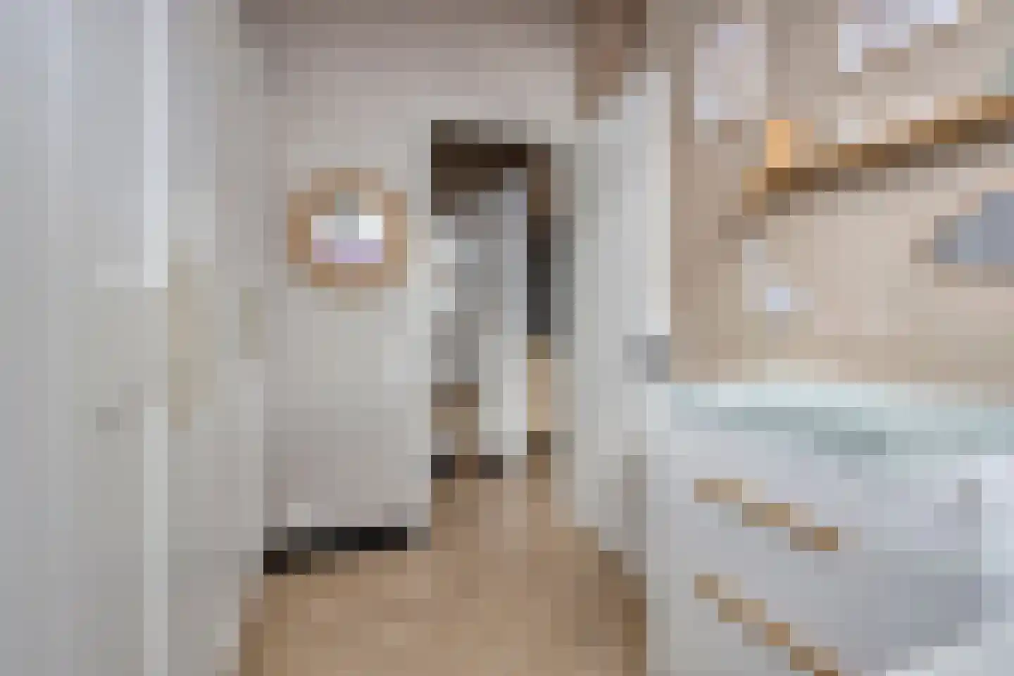 Dubbelebuurt 2 A 9 Wormerveer thumbnail 25