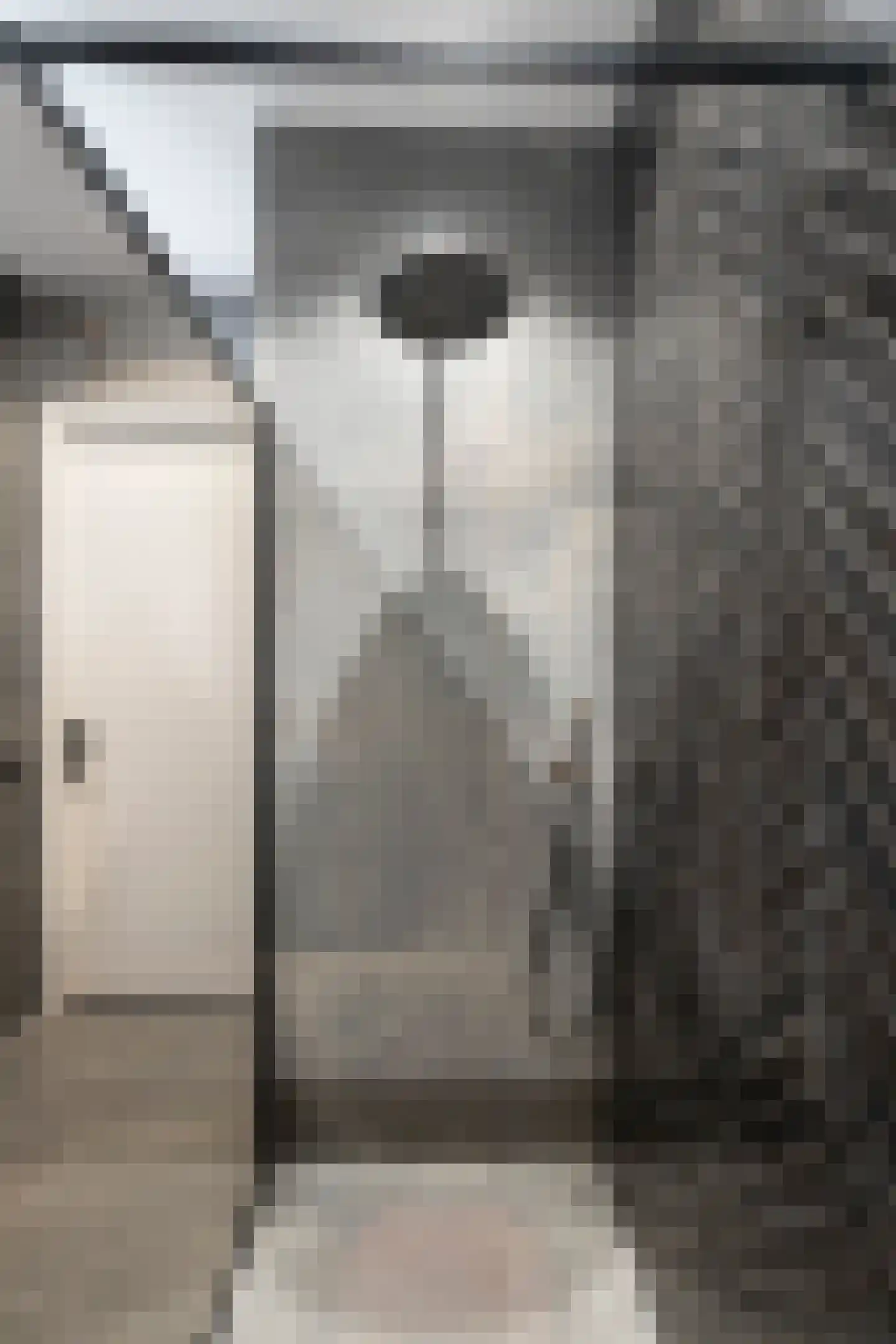 Dubbelebuurt 2 A 9 Wormerveer thumbnail 28