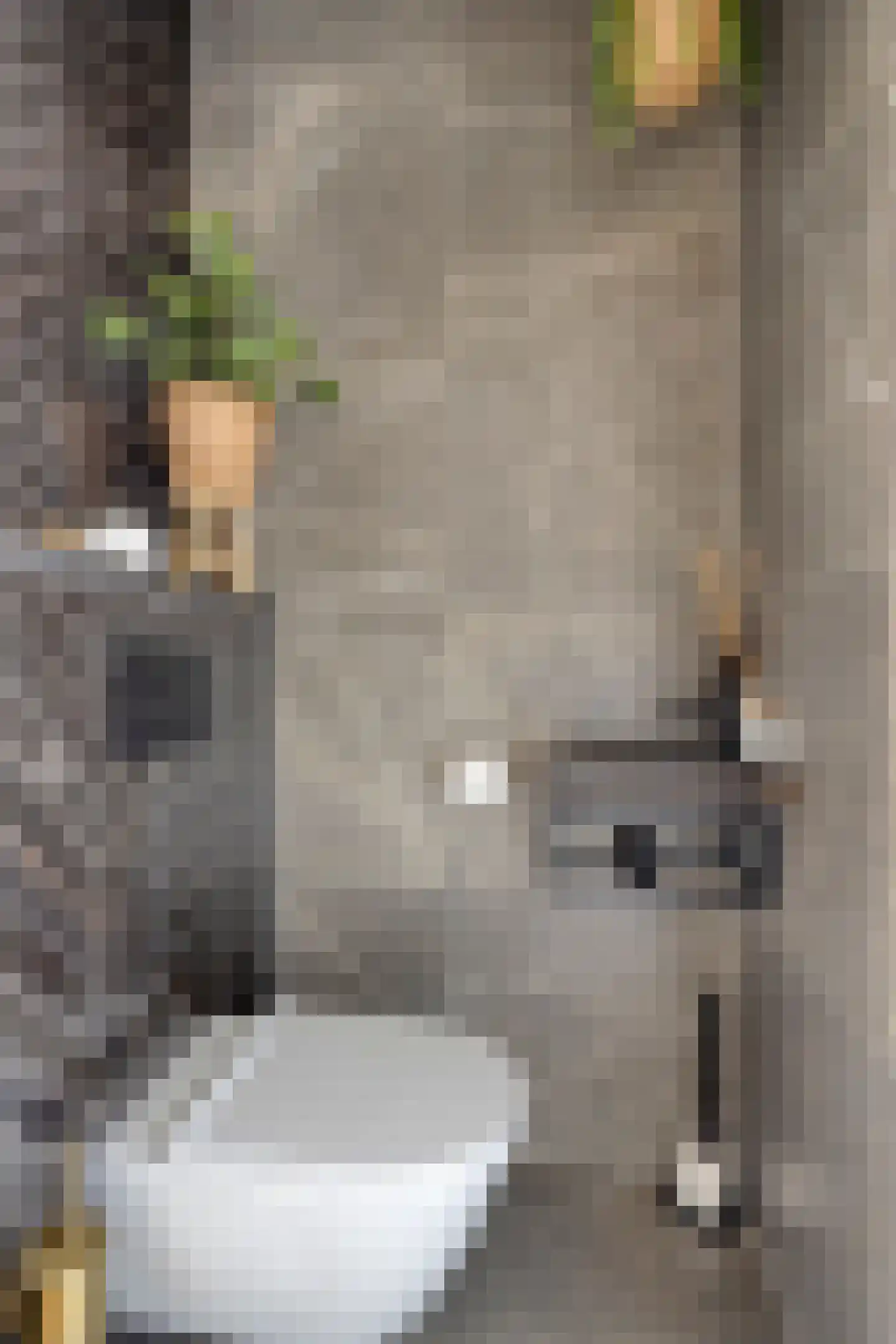 Dubbelebuurt 2 A 9 Wormerveer thumbnail 8