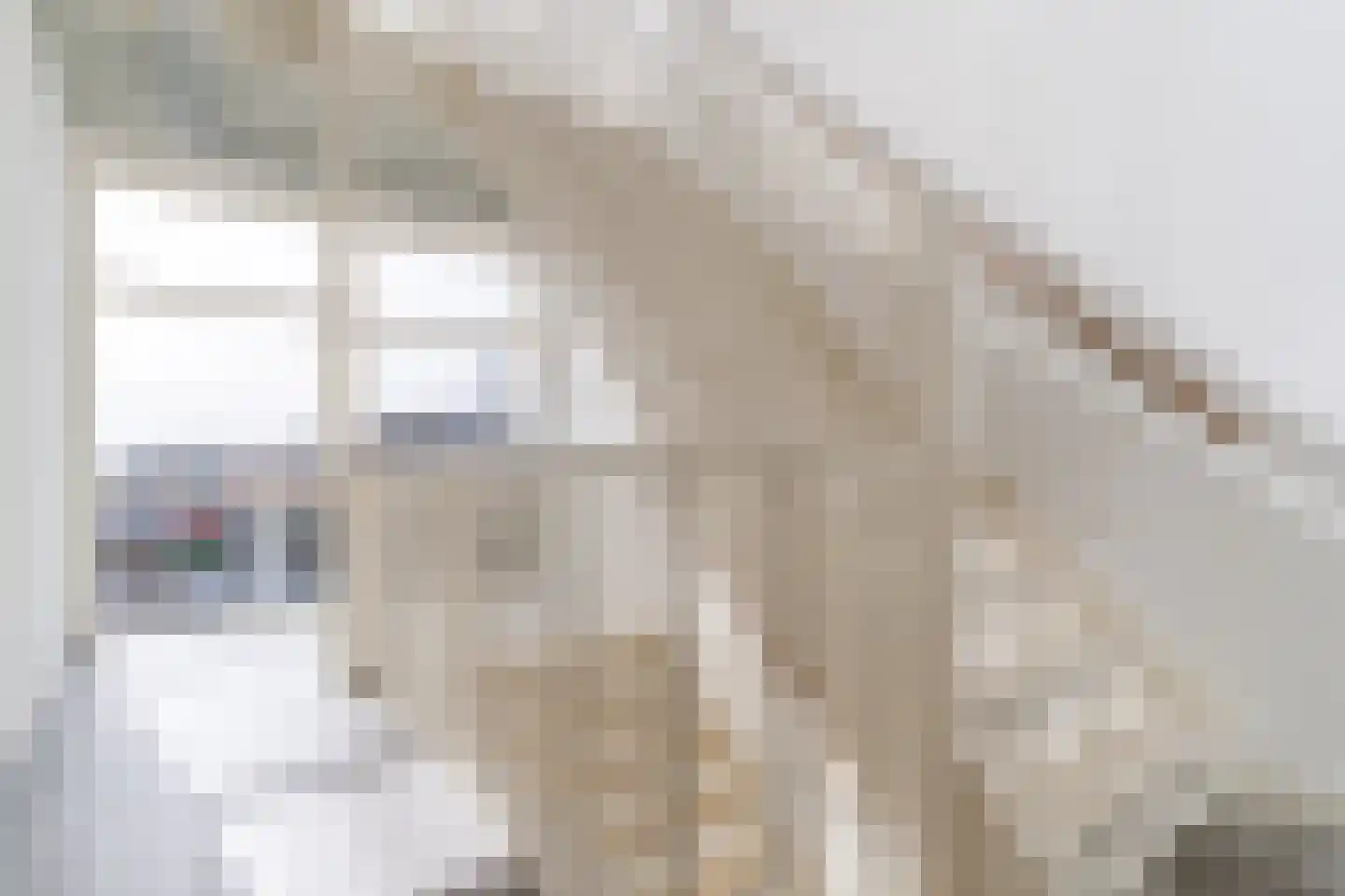 Dubbelebuurt 2 B 10 Wormerveer thumbnail 8