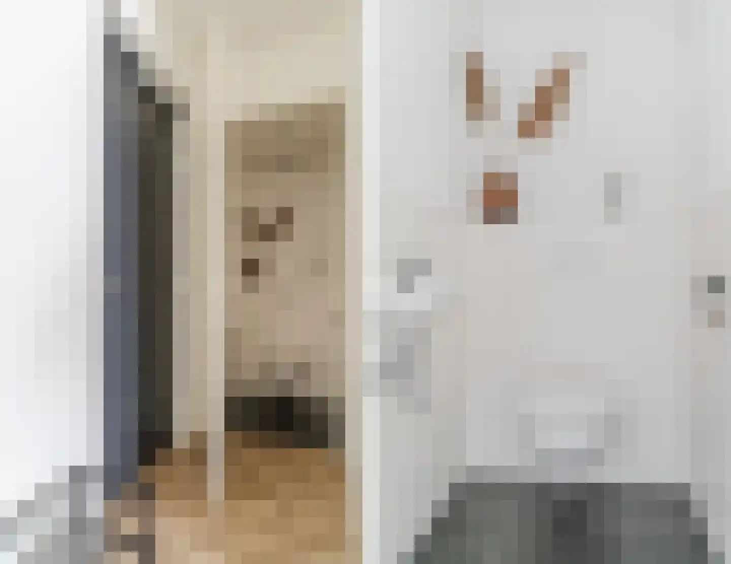 Dubbelebuurt 2 B 10 Wormerveer thumbnail 9