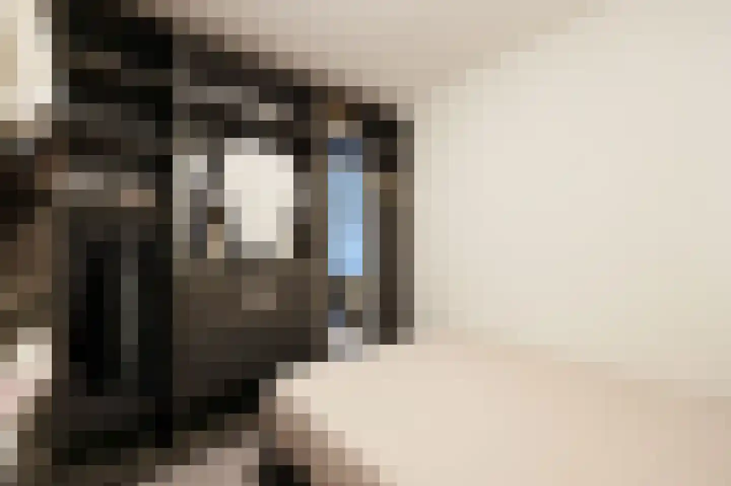 Dubbelebuurt 2 B 15 Wormerveer thumbnail 14