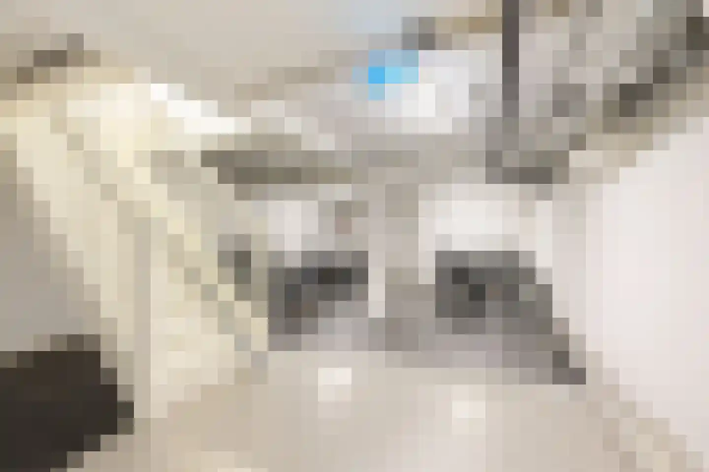 Dubbelebuurt 2 B 15 Wormerveer thumbnail 18
