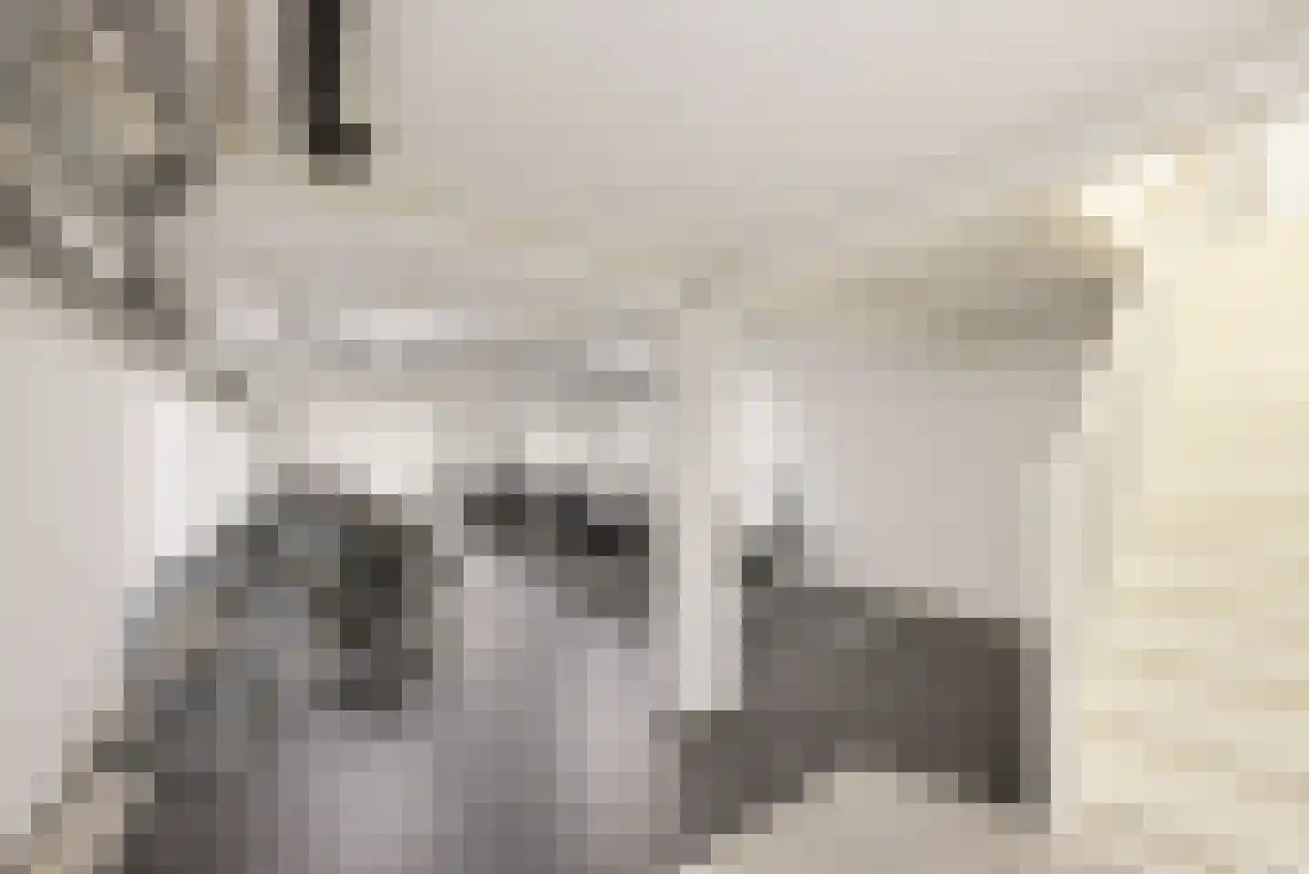 Dubbelebuurt 2 B 15 Wormerveer thumbnail 19