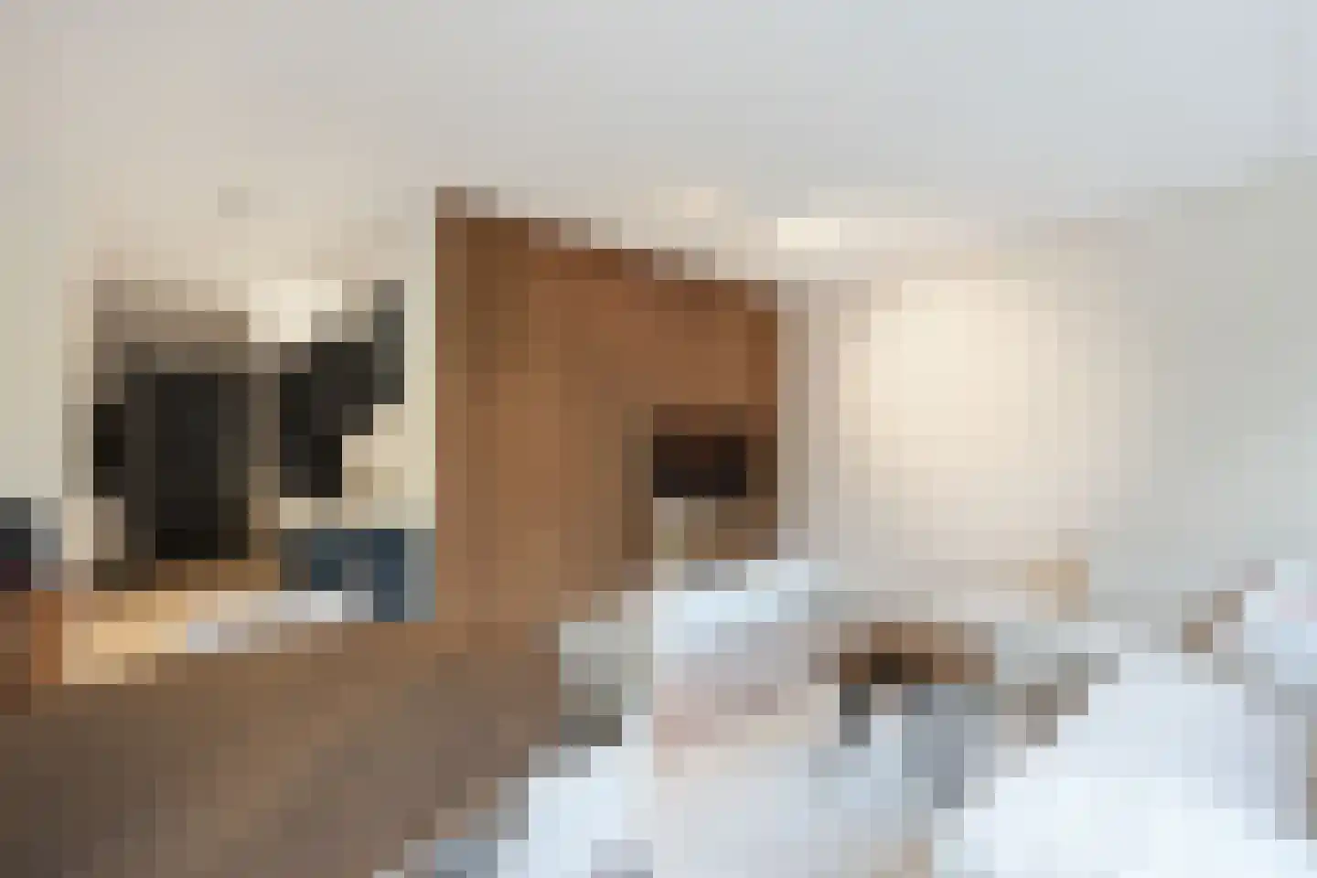 Dubbelebuurt 2 B 15 Wormerveer thumbnail 6