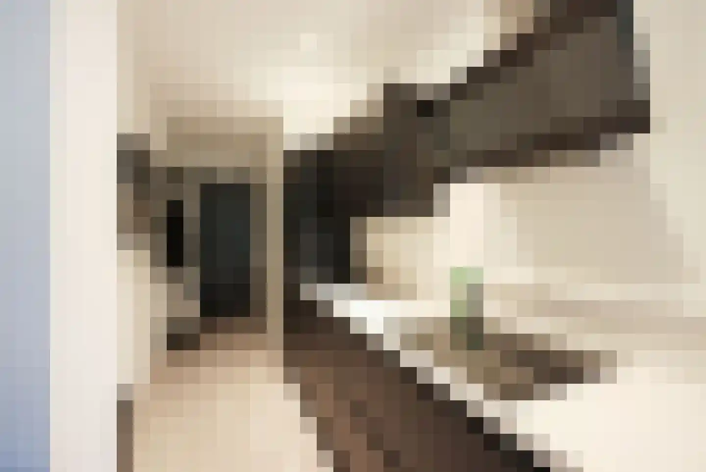 Dubbelebuurt 2 B 15 Wormerveer thumbnail 7