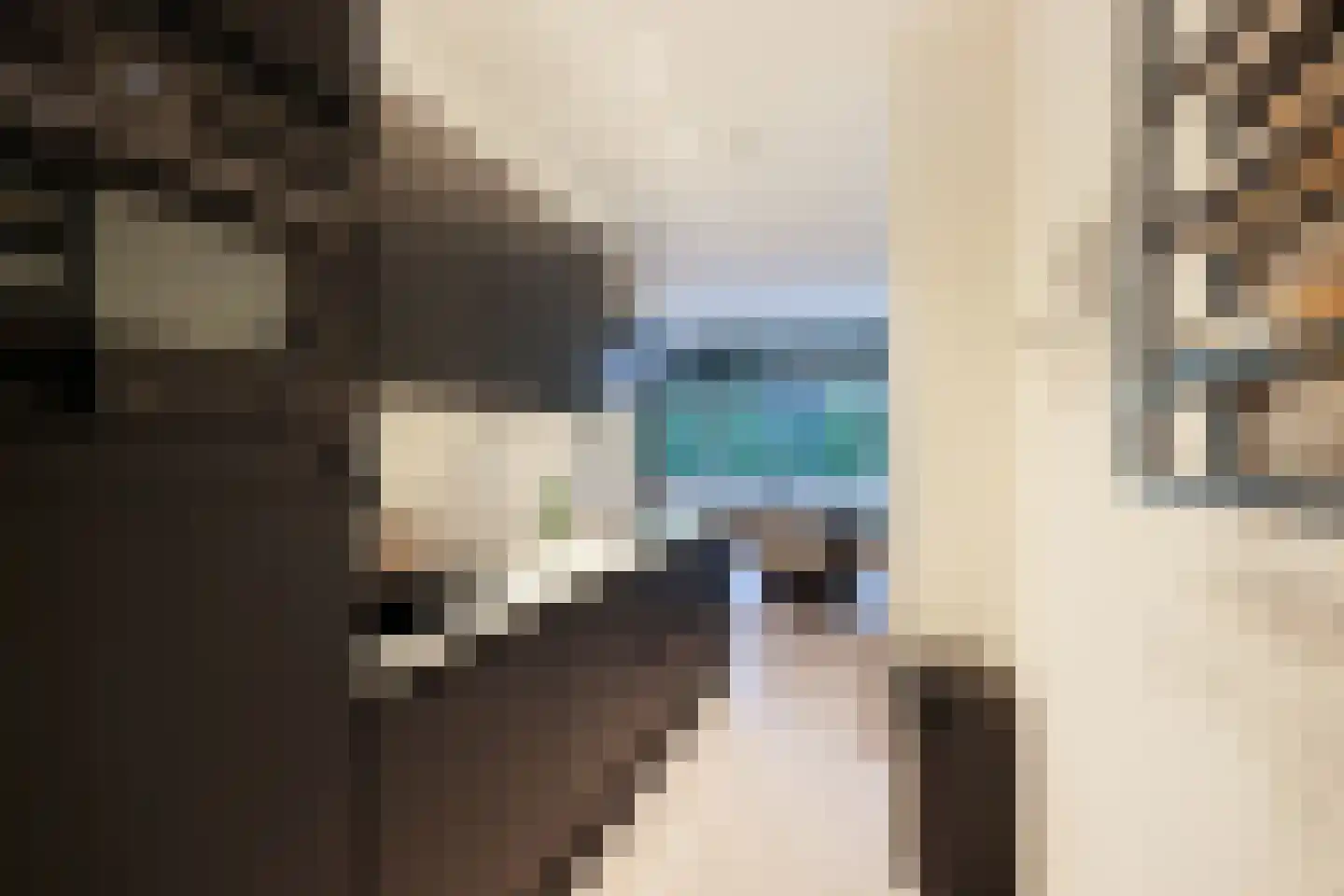 Dubbelebuurt 2 B 15 Wormerveer thumbnail 8