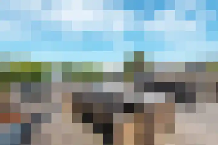 Dubbelebuurt 2 C 1 Wormerveer thumbnail 16