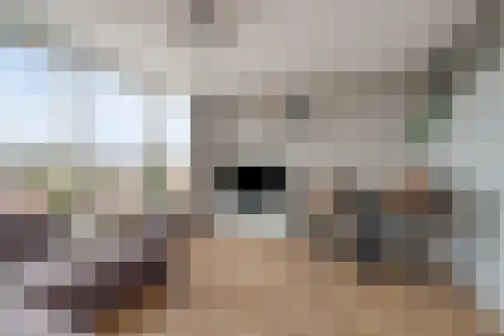 Dubbelebuurt 2 C 6 Wormerveer thumbnail 11