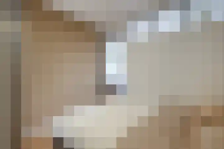 Dubbelebuurt 2 C 6 Wormerveer thumbnail 17