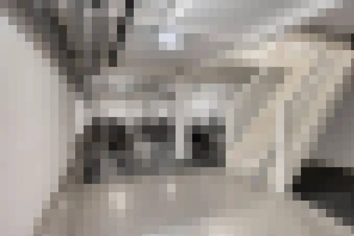 Dubbelebuurt 2 C 7 Wormerveer thumbnail 25