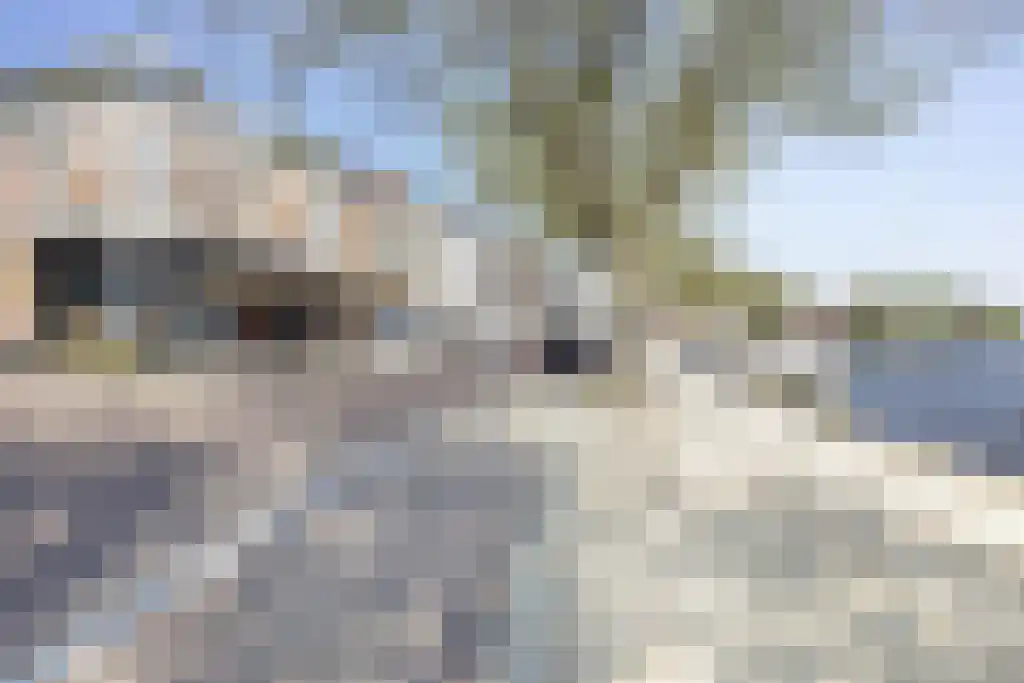 Dubbelebuurt 2 C 7 Wormerveer thumbnail 37