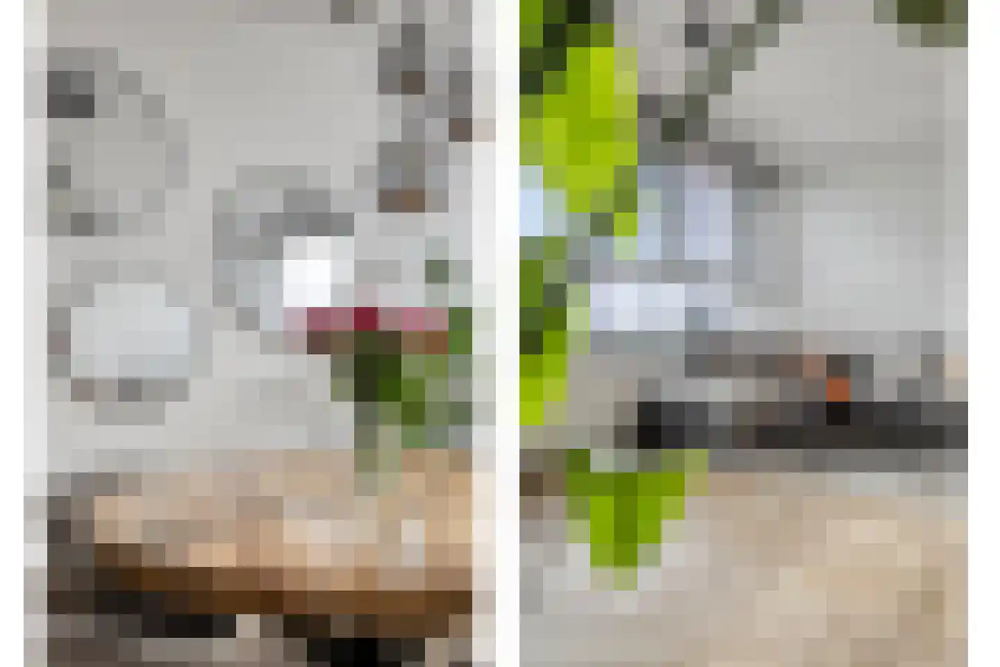 Dubbelebuurt 2 C 7 Wormerveer thumbnail 7