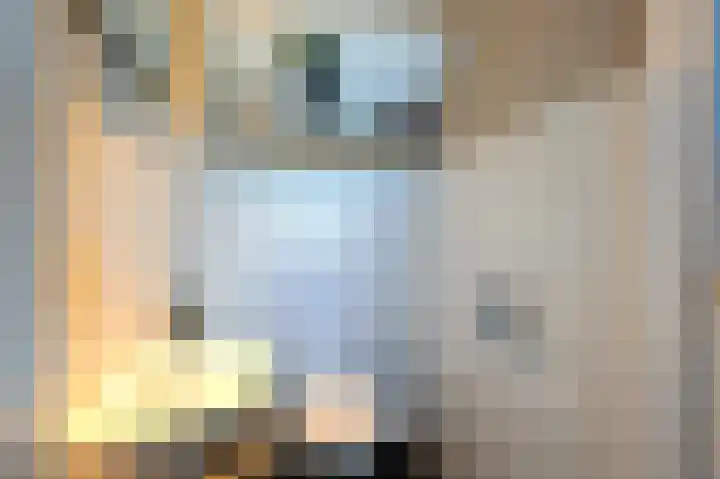 Dubbelebuurt 22 Wormerveer thumbnail 11
