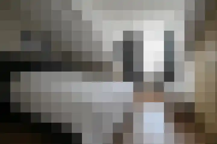 Dubbelebuurt 22 Wormerveer thumbnail 13