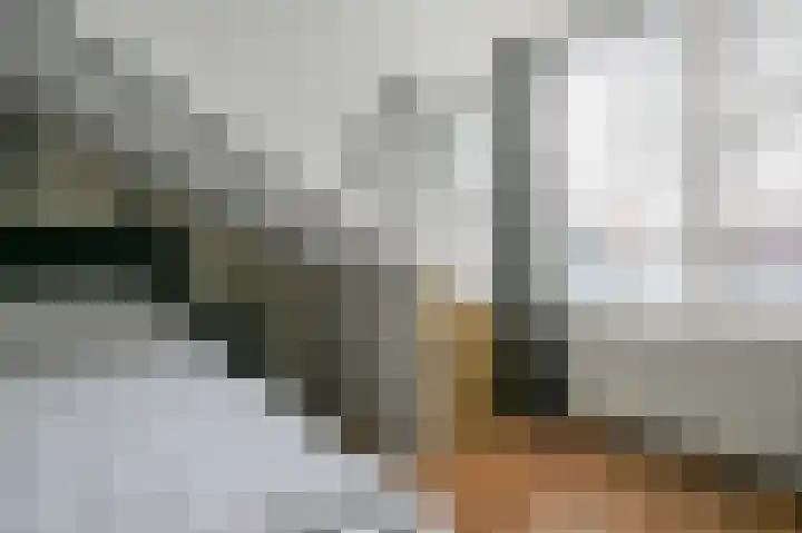 Dubbelebuurt 22 Wormerveer thumbnail 14