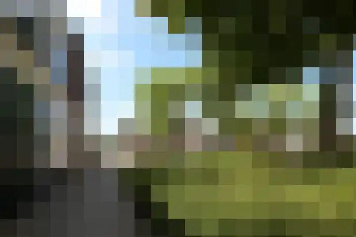 Dubbelebuurt 22 Wormerveer thumbnail 23