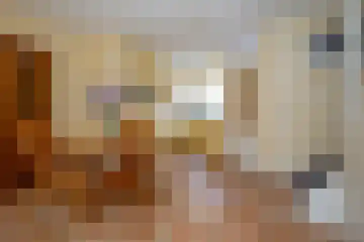 Dubbelebuurt 27 Rijnsburg thumbnail 14