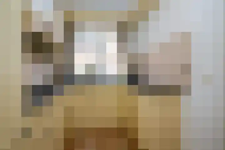 Dubbelebuurt 27 Rijnsburg thumbnail 15