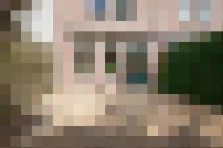 Dubbelebuurt 27 Rijnsburg thumbnail 36