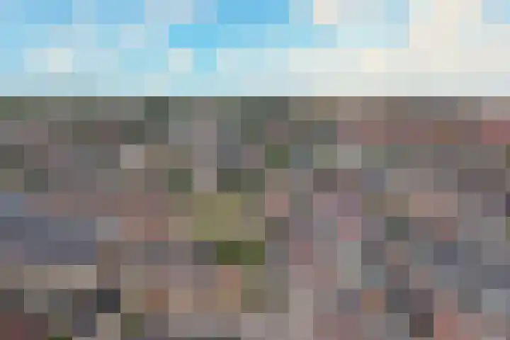 Dubbelebuurt 27 Rijnsburg thumbnail 41
