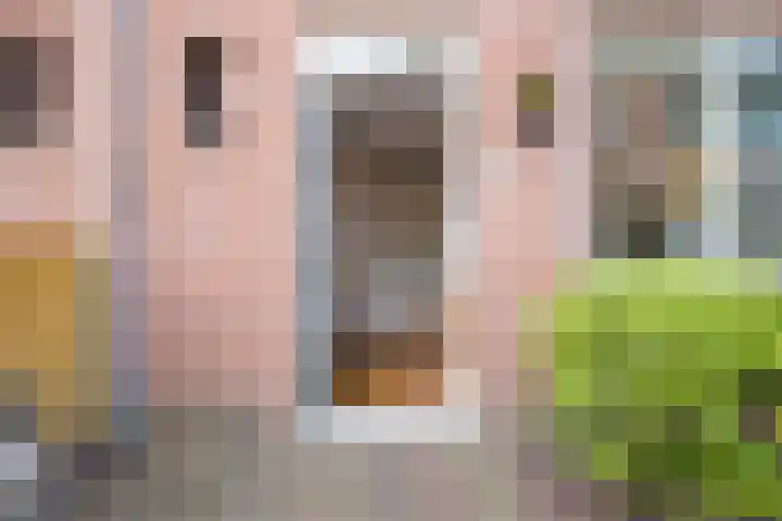 Dubbelebuurt 27 Rijnsburg thumbnail 8