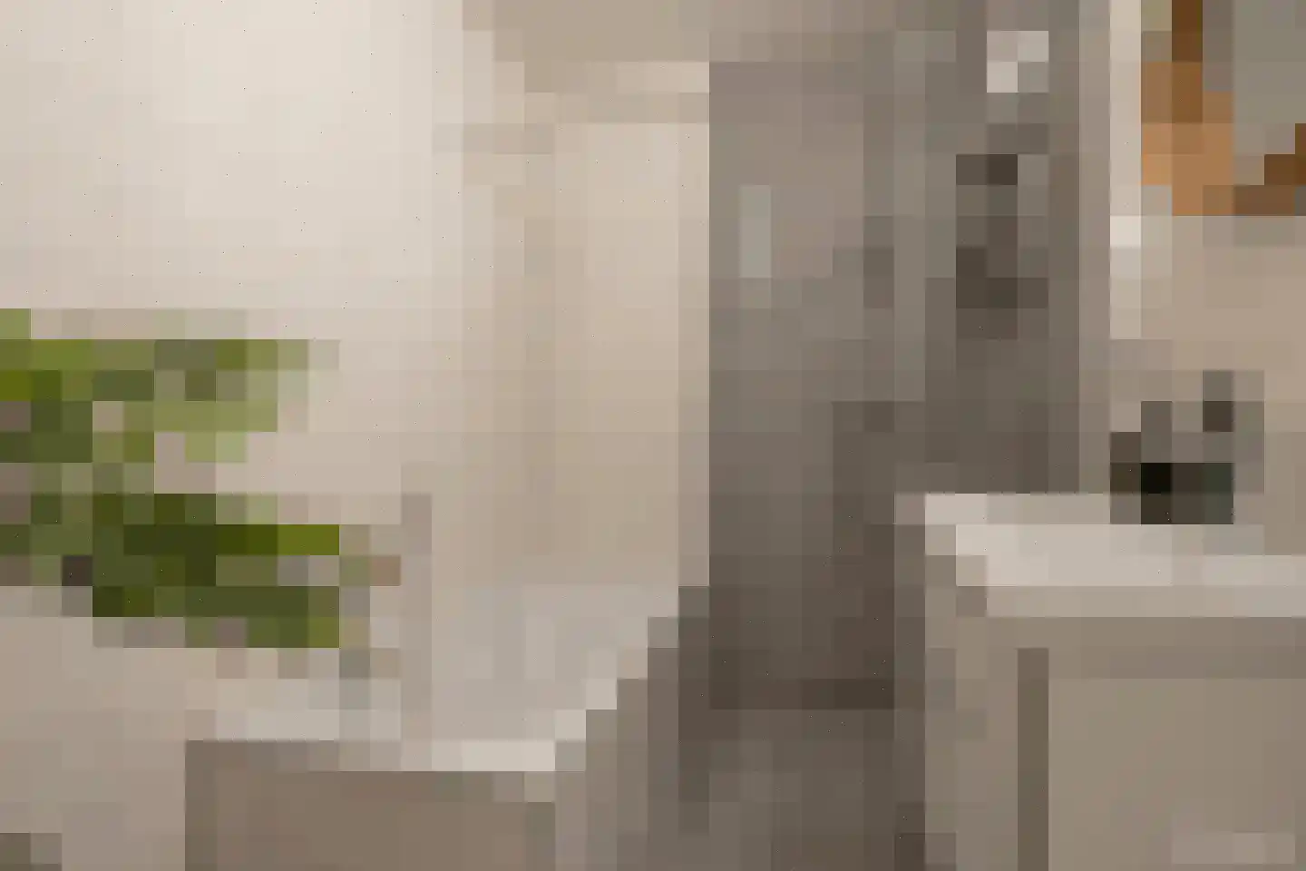 Dubbelhof 111 Ede thumbnail 22
