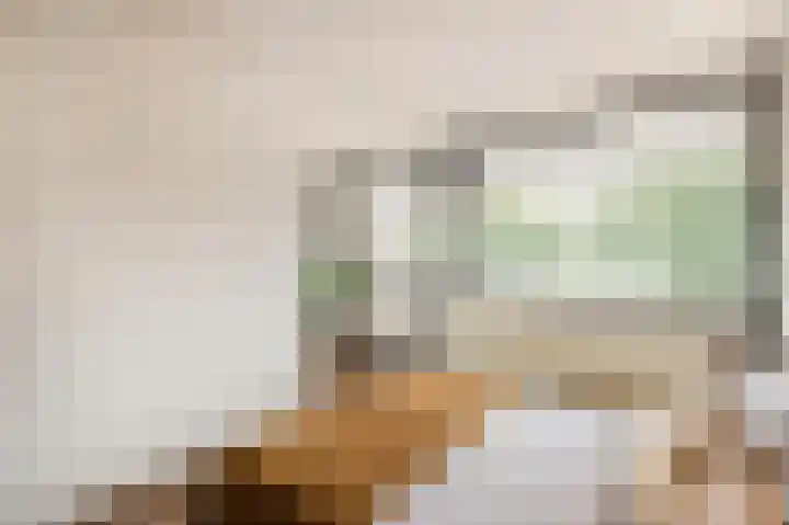 Dubbelhof 25 Ede thumbnail 18