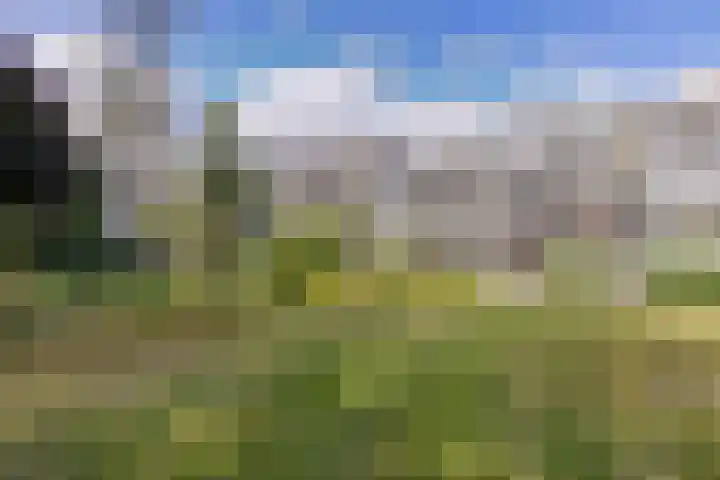 Dubbelhof 25 Ede thumbnail 26