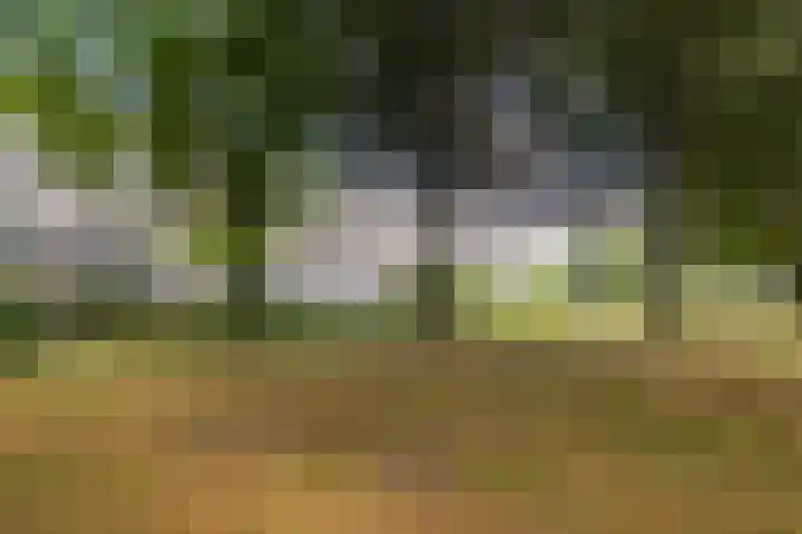 Dubbelhof 25 Ede thumbnail 27