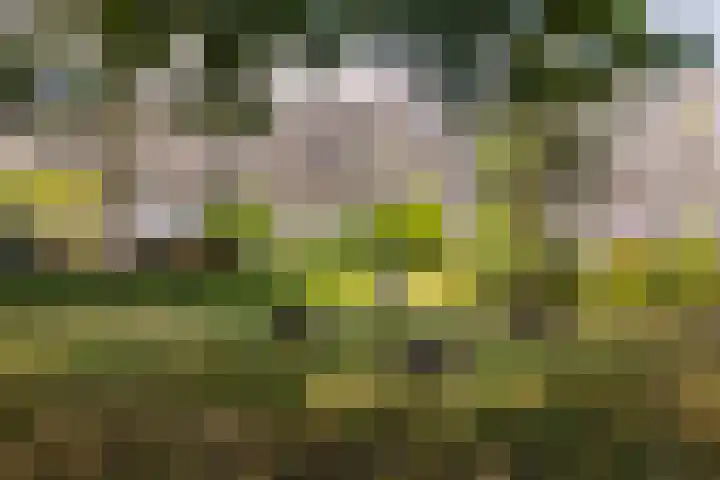 Dubbelhof 25 Ede thumbnail 28