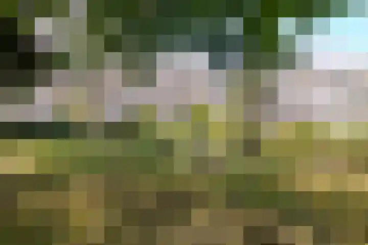 Dubbelhof 25 Ede thumbnail 29