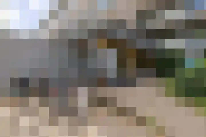 Dubbelhof 25 Ede thumbnail 6