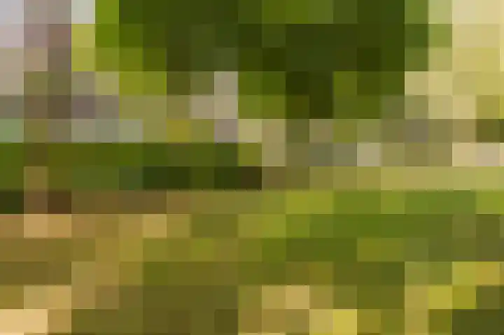 Dubbelhof 57 Ede thumbnail 4