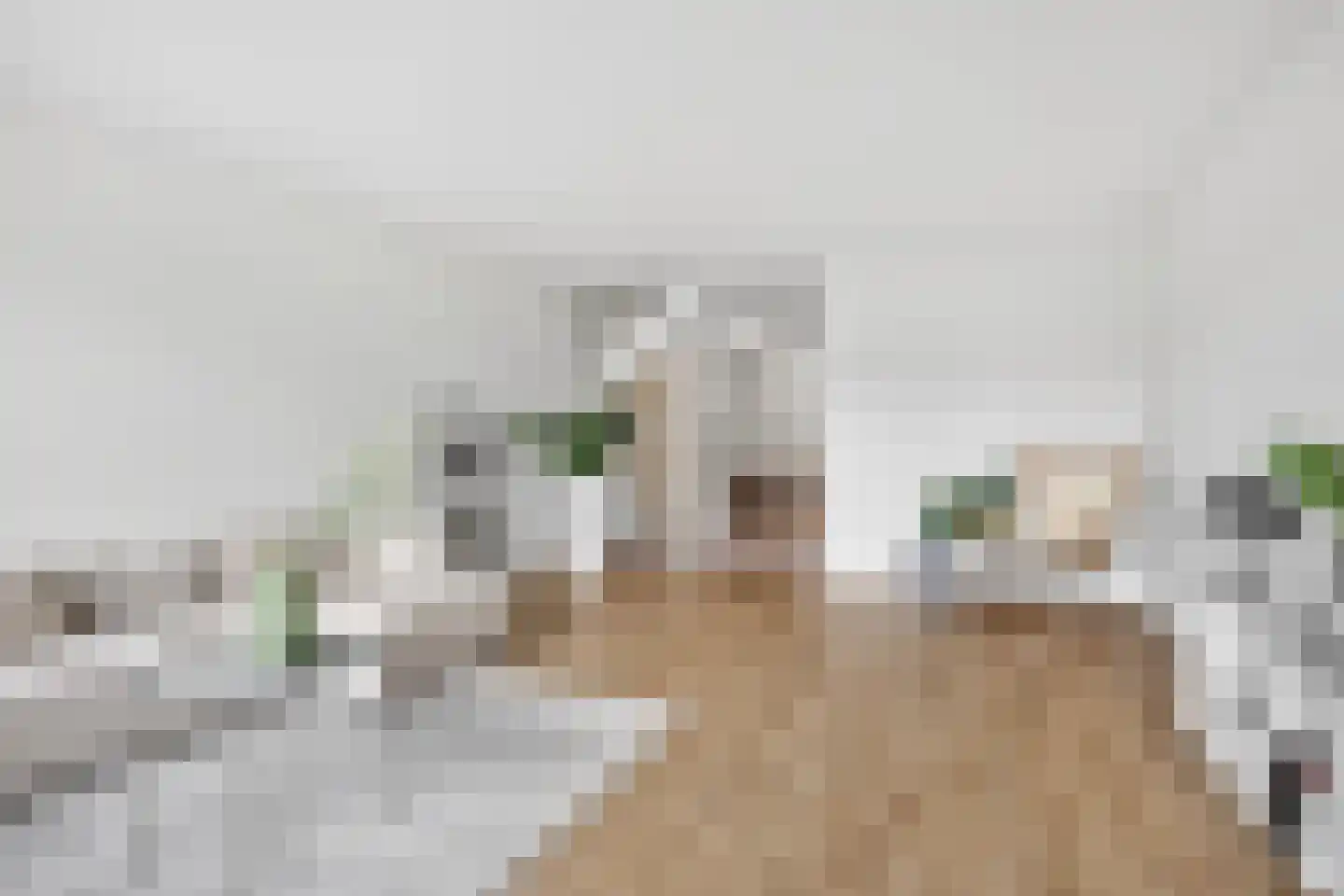 Dubbelhof 62 Ede thumbnail 12