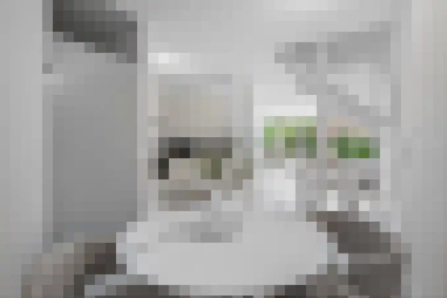 Dubbelhof 62 Ede thumbnail 17
