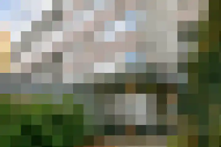 Dubbelhof 63 Ede thumbnail 6