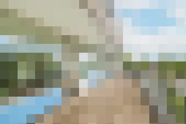Dubbelhof 77 Ede thumbnail 23